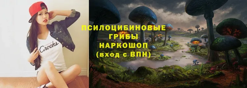 Псилоцибиновые грибы Cubensis  Льгов 